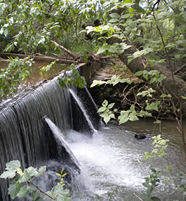 waterfall cove venue