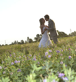Klip River Country Estate