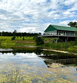 Grey Goose Game Lodge