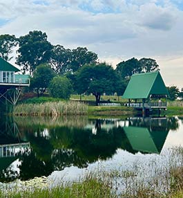 Grey Goose Game Lodge