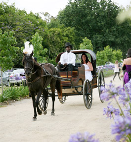 Tramonto Wedding Venue