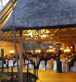 Thwane Bush Camp