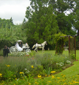 everwood country venues