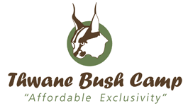 Thwane Bush Camp